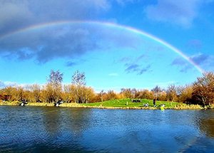 Willow Pool